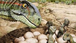 [:es]¿Blandos o duros? El enigma de los huevos de dinosaurios[:]