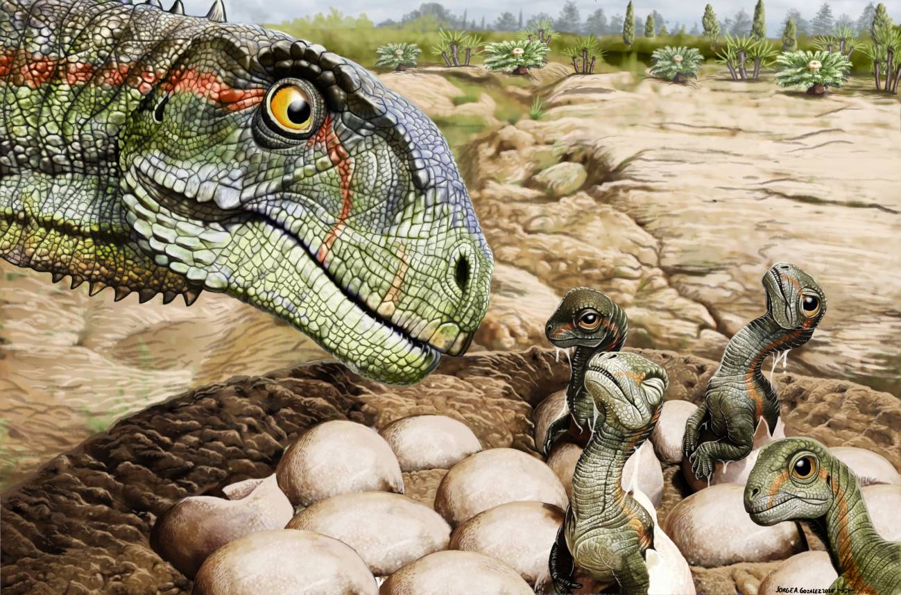 [:es]¿Blandos o duros? El enigma de los huevos de dinosaurios[:]