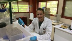 [:es]Una retina artificial de nanopartículas devuelve la vista a ratas ciegas [:]