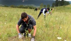 [:es]Zuhaitzak landatuta ez da beti lortzen karbono gehiago finkatzea[:]