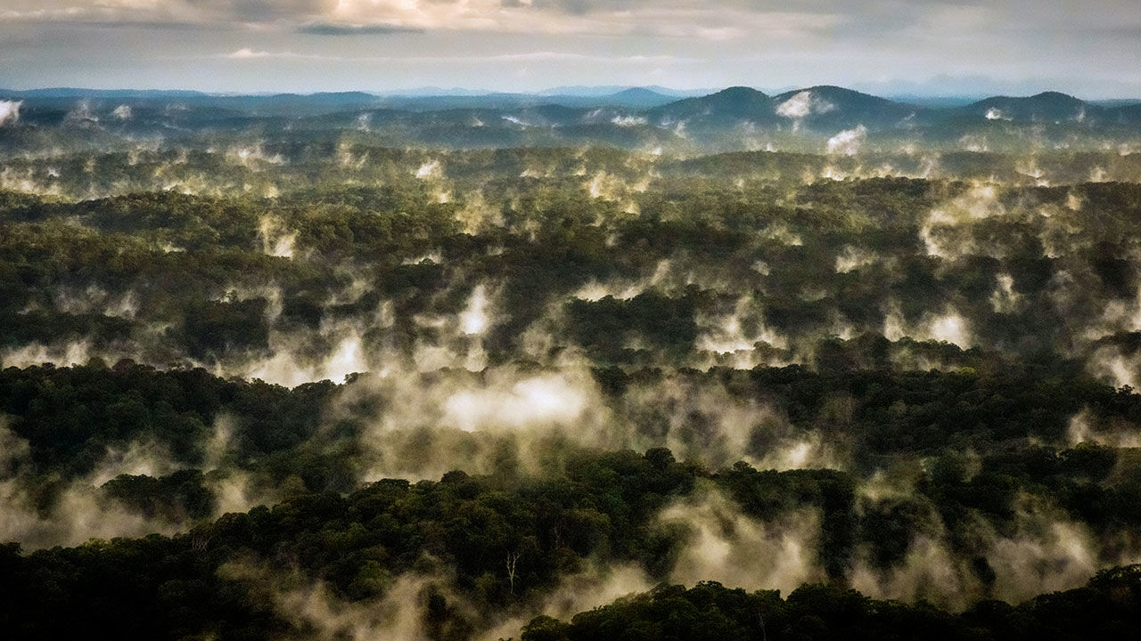 [:es]A controversial Russian theory claims forests don’t just make rain—they make wind[:]