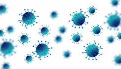 [:es]Birus-infekzioek eragina izan dezakete I motako diabetesaren sorreran[:]
