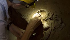 [:es]DNA Inherited From Neanderthals May Increase Risk of Covid-19[:]