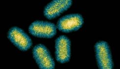 [:es]Nanopartikula metaliko kiralak egiteko teknika bat garatu dute CIC biomaGUNEn[:]