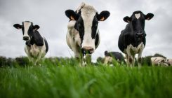 [:es]Global methane levels soar to record high[:]