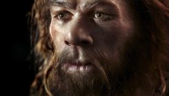 [:es]Neanderthal gene linked to increased pain sensitivity[:]