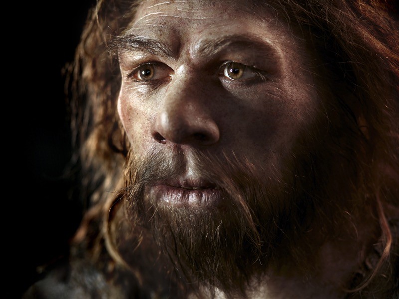 [:es]Neanderthal gene linked to increased pain sensitivity[:]