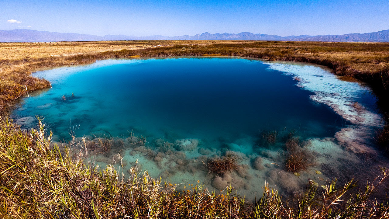 [:es]Pools in the Mexican desert are a window into Earth’s early life[:]