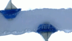 [:es]Watch levitating upside-down boats flip the law of buoyancy[:]