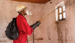 [:es]Some mosquitoes already have resistance to the latest weapon against malaria[:]