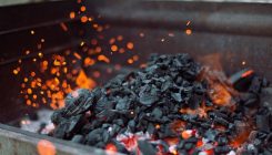 [:es]Microscopy illuminates charcoal’s sketchy origins[:]