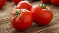 [:es]¿Y si la próxima vacuna consiste en comerse un tomate?[:]
