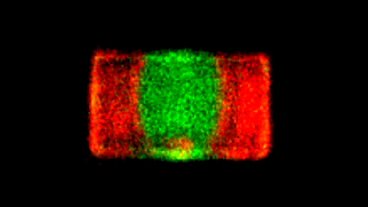 [:es]Looking at perovskite in a new light[:]