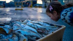 [:es]Algo huele a podrido en Islandia, pero ¿por qué ciertas personas no lo notan?[:]