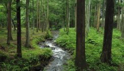 [:es]Fukushimako istripuko erradioisotopoak sistema lurtarretan nola zabaldu diren aztertu dute[:]