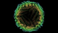 [:es]Cryo–electron microscopy breaks the atomic resolution barrier at last[:]