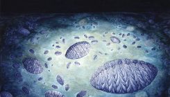 [:es]These bizarre ancient species are rewriting animal evolution[:]