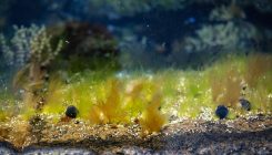 [:es]Rethinking the origins of complex life[:]