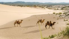 [:es]Las tierras de los mongoles ya han entrado en una nueva era climática[:]
