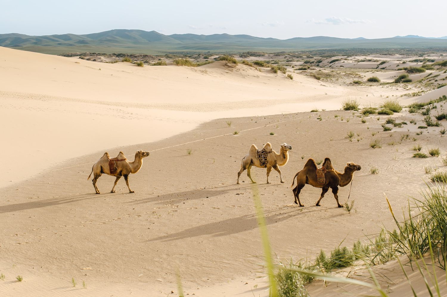 [:es]Las tierras de los mongoles ya han entrado en una nueva era climática[:]