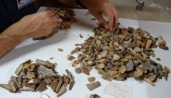 [:es]Duela 41.000 urte neandertalek hildakoak hobiratzen zituztela baieztatu dute[:]