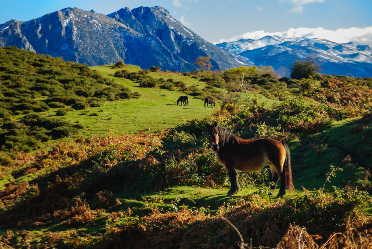 [:es]El reverdecimiento de la tierra se acerca a su límite [:]