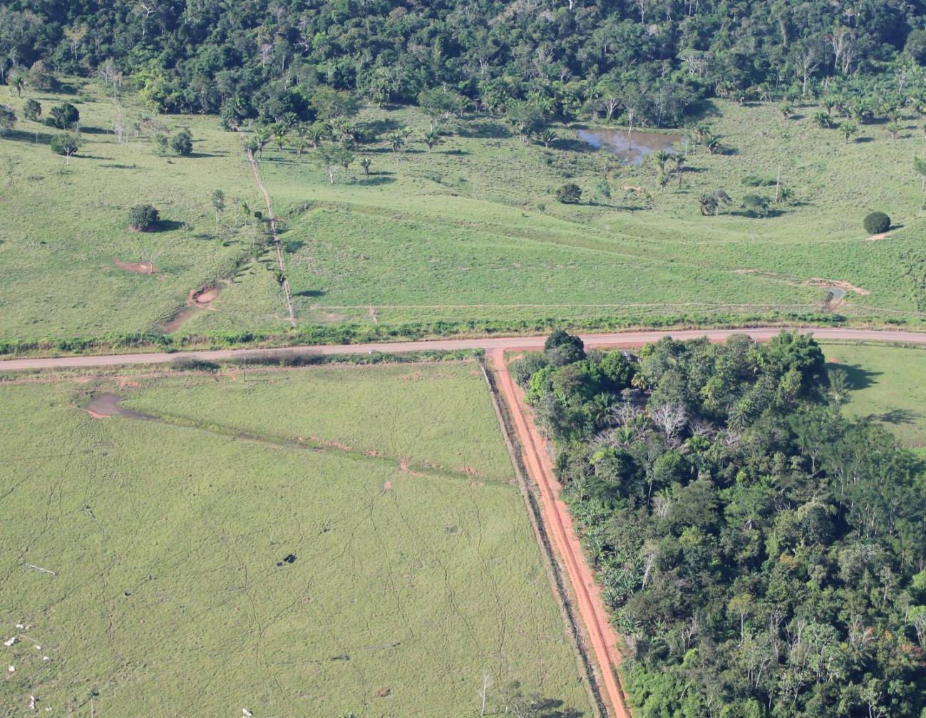 [:es]Una civilización precolonial ya realizó cambios en la selva amazónica hace miles de años [:]