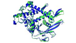 [:es]‘The game has changed.’ AI triumphs at solving protein structures[:]
