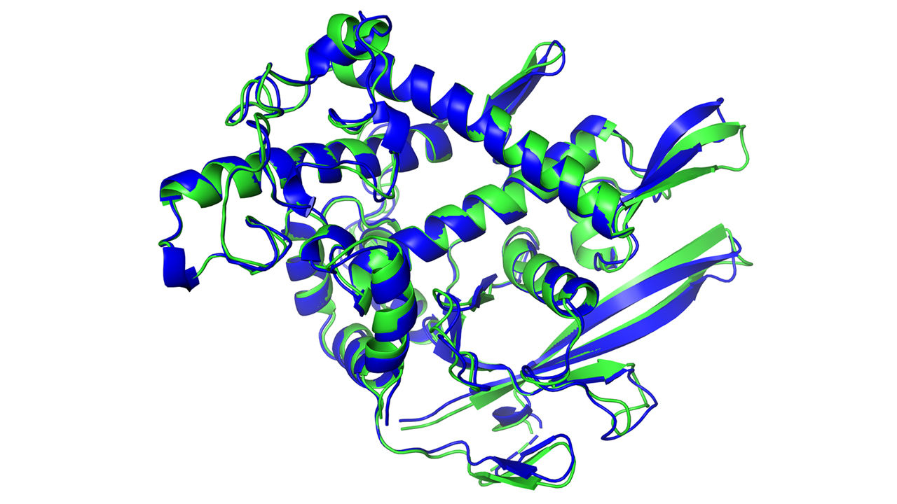 [:es]‘The game has changed.’ AI triumphs at solving protein structures[:]