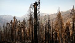 [:es]The science events to watch for in 2021[:]