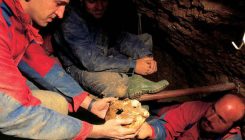[:es]Los primeros humanos de Atapuerca pudieron sobrevivir al frío hibernando[:]