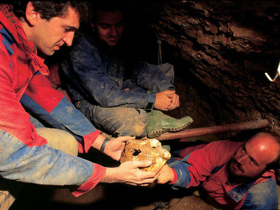 [:es]Los primeros humanos de Atapuerca pudieron sobrevivir al frío hibernando[:]
