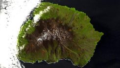 [:es]Las islas donde las moscas caminan y las polillas se arrastran dan la razón a Darwin[:]
