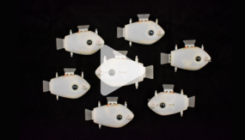 [:es]Swarms of robotic fish can synchronize their swimming, for the first time[:]