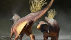 [:es]El orificio para todo de los dinosaurios, descrito por primera vez[:]