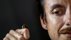 [:es]Las abejas también desaparecen de los registros[:]