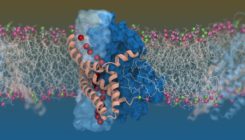 [:es]Twisty molecular elevator[:]