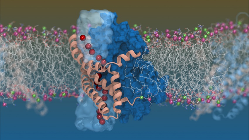 [:es]Twisty molecular elevator[:]