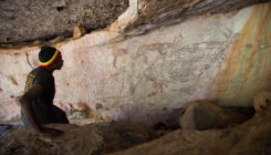 [:es] El primer canguro pintado en la roca tiene 17.000 años [:]