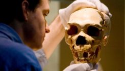 [:es]Neanderthal-like ‘mini-brains’ created in lab with CRISPR[:]