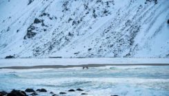 [:es]¿Han cambiado la temperatura y la dirección de la corriente del Golfo?[:]