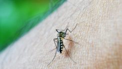 [:es]Así están conectados cambio climático y transmisión de la malaria[:]