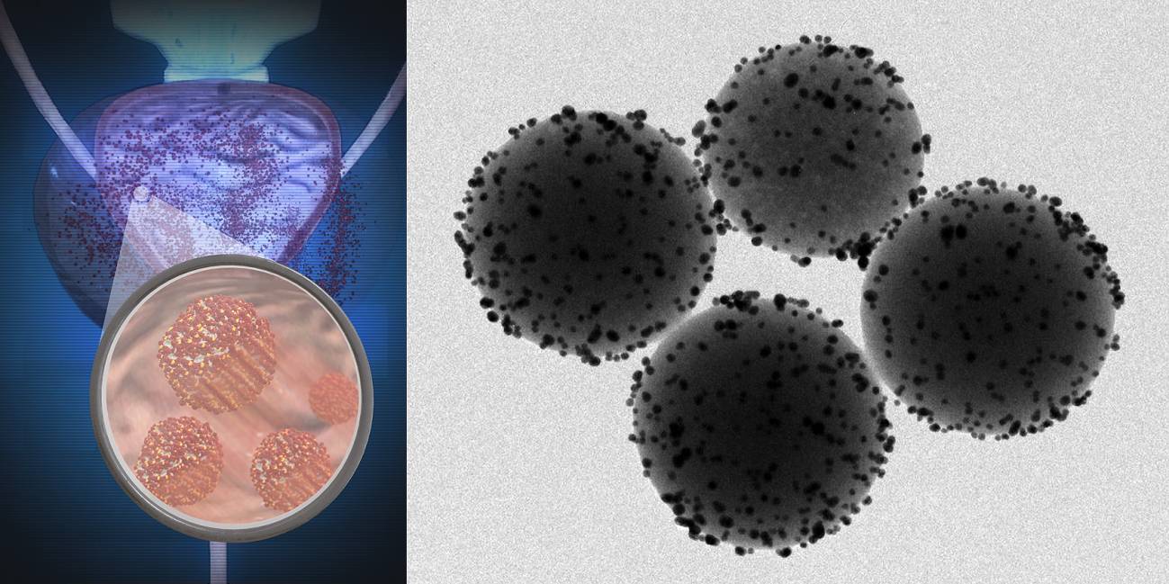 [:es]Así se mueven millones de nanorrobotos dentro de ratones vivos[:]