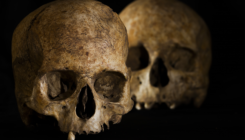 [:es]Trepanación, decapitación y otros extraordinarios hallazgos de rituales funerarios en una cueva de Cádiz[:]