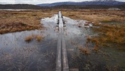 [:es]How microbes in permafrost could trigger a massive carbon bomb[:]
