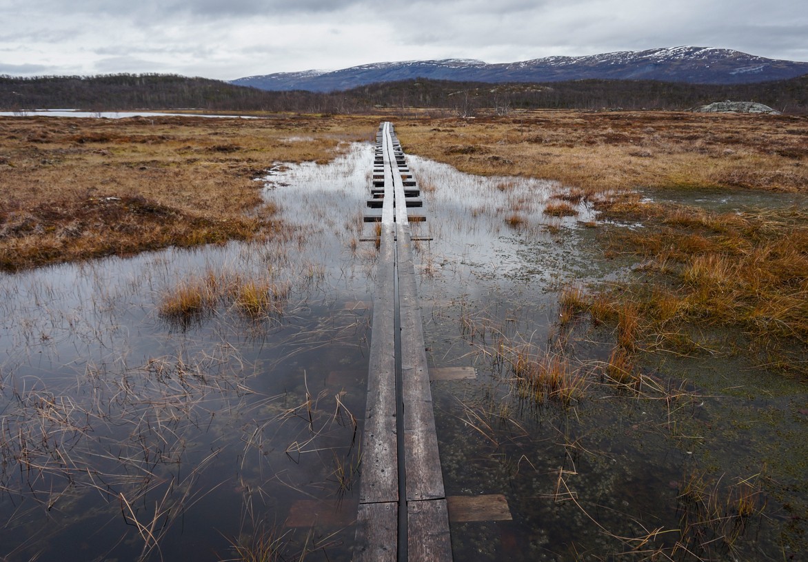 [:es]How microbes in permafrost could trigger a massive carbon bomb[:]