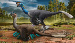 [:es]Primer fósil de un dinosaurio incubando sus huevos, con embriones en su interior (y es un macho)[:]