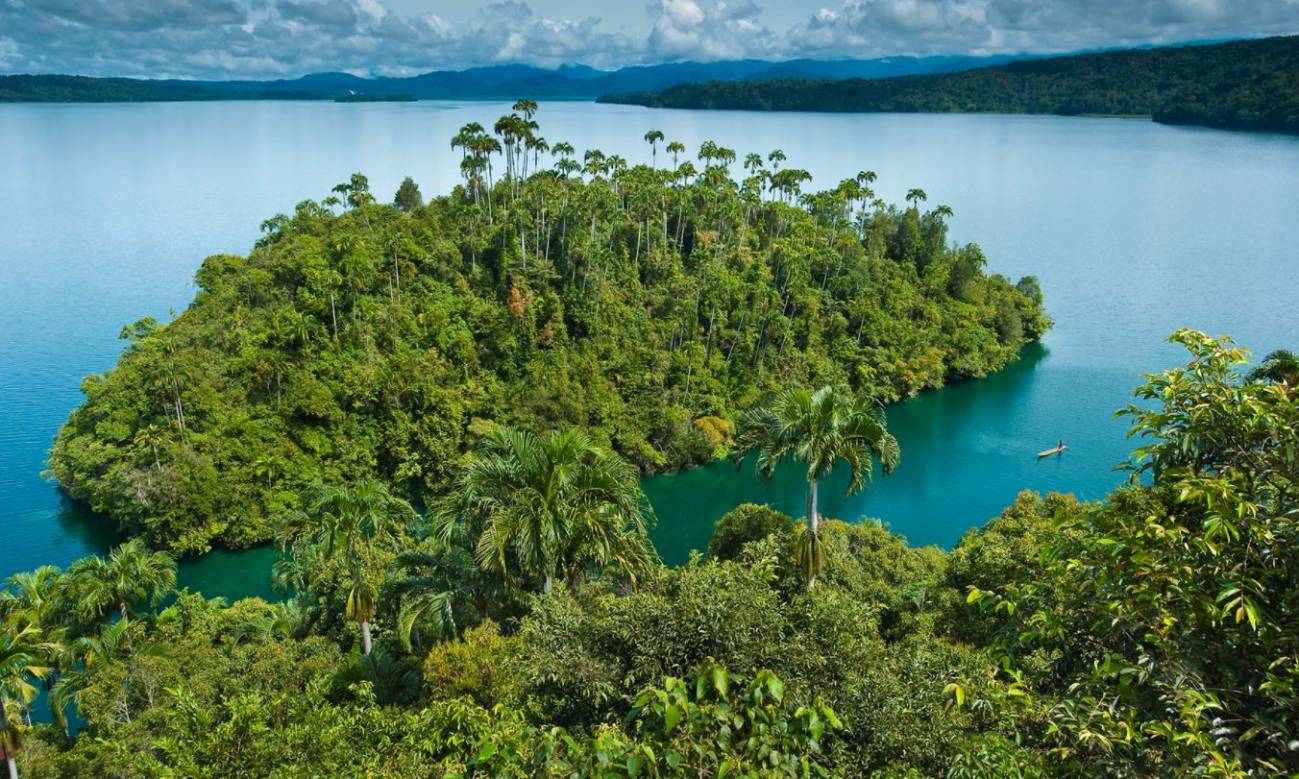 [:es]El cruce con neandertales y denisovanos ayudó a adaptarse a los primeros habitantes de Oceanía[:]