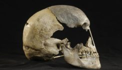 [:es]El sexo entre los primeros sapiens europeos y los neandertales fue más común de lo que se creía[:]