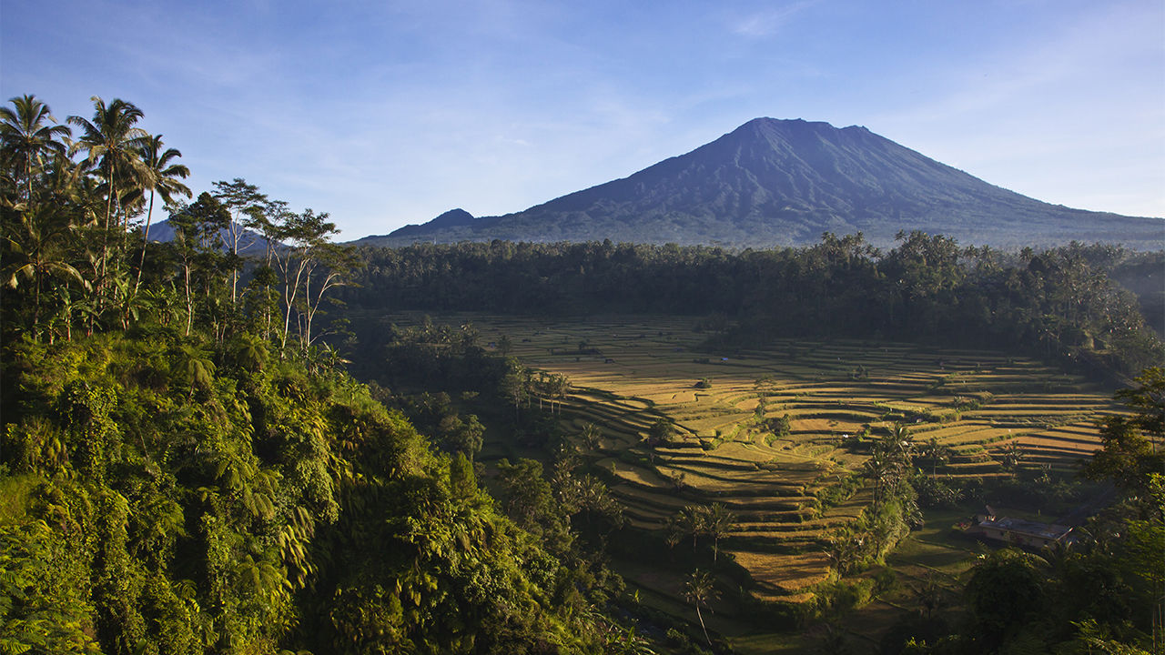 [:es]Just 19% of Earth’s land is still ‘wild,’ analysis suggests[:]